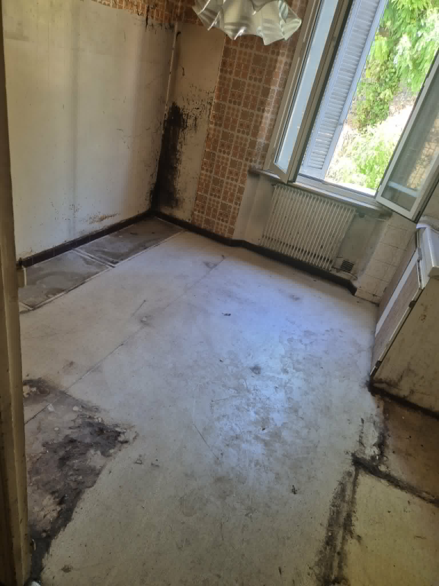Appartement vidé cuisine moisissures